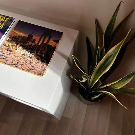 Gasthuis Charming Navona 3*